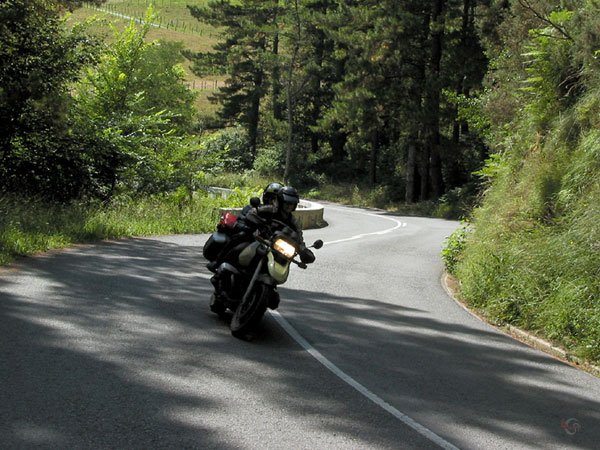 Motorcycle in forest